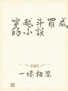 穿越斗罗成魂兽的小说