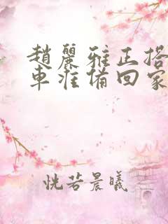 赵丽雅正搭公交车准备回家小说阅读免费