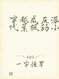 穿越成反派富二代叶枫的小说