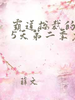 霸道总裁的365天第二季免费观看