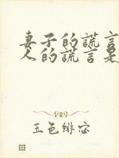 妻子的谎言和爱人的谎言是同一部电视剧吗