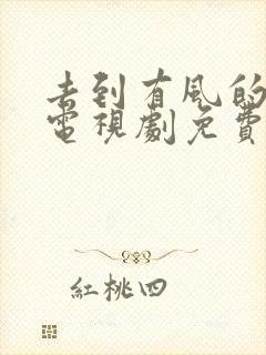 去到有风的地方电视剧免费观看