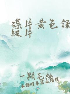 碟片黄色录像一级片