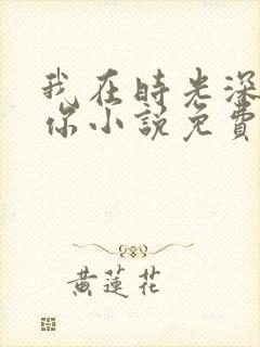 我在时光深处等你小说免费阅读