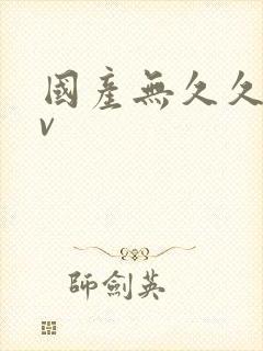 国产无久久久av