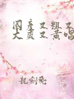 国产又粗又猛又大爽又黄唱戏