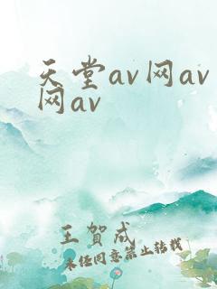 天堂av网av网av