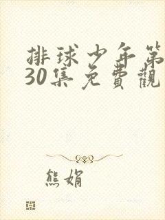 排球少年第二季30集免费观看