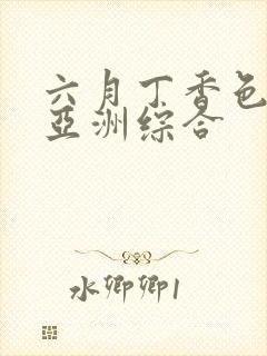 六月丁香色婷婷亚洲综合