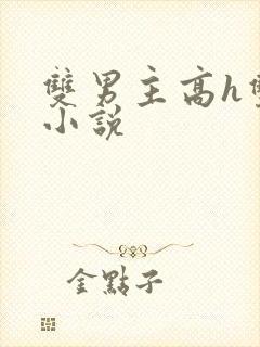 双男主高h双性小说