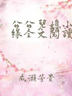 公公儿媳小说孽缘全文阅读