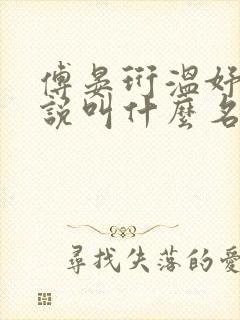 傅晏珩温妤婉小说叫什么名字