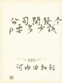 公司开发个app要多少钱