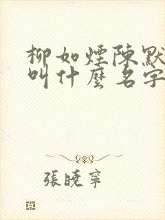 柳如烟陈默小说叫什么名字