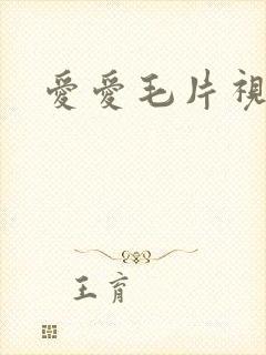 爱爱毛片视频