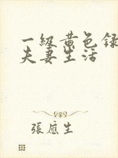 一级黄色录像片夫妻生活