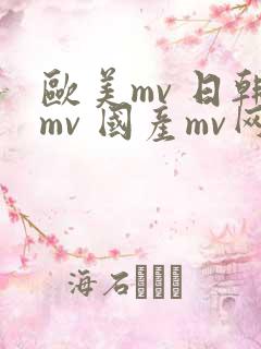 欧美mv 日韩mv 国产mv网站