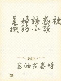 美妇诱惑被男人操的小说