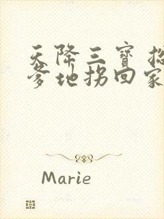 天降三宝 总裁爹地拐回家