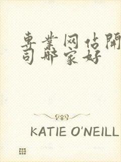 专业网站开发公司哪家好