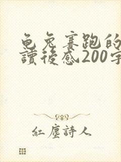 龟兔赛跑的故事读后感200字