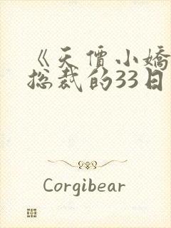 《天价小娇妻:总裁的33日索情》