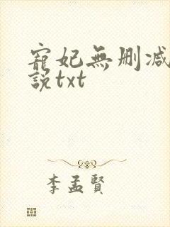 宠妃无删减版小说txt