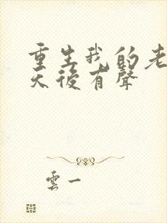 重生我的老婆是天后有声