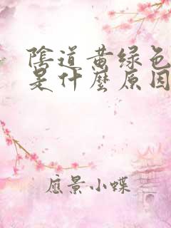 阴道黄绿色分泌是什么原因