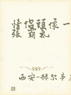 情侣头像一人一张 霸气