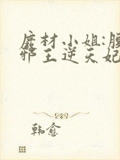 废材小姐:腹黑邪王逆天妃 叶轻轻