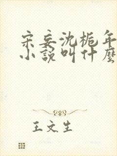 宋妄沈栀年原著小说叫什么