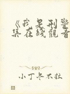 《我是刑警》全集在线观看电视剧