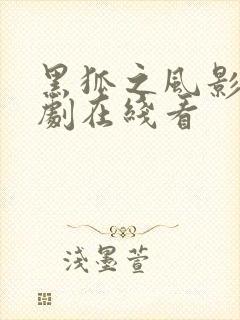黑狐之风影电视剧在线看