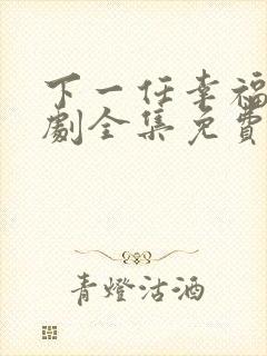 下一任幸福电视剧全集免费观看