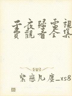 子夜归电视剧免费观看全集高清第30