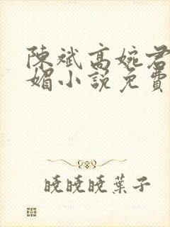 陈斌高婉君赵心媚小说免费小说