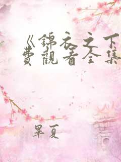 《锦衣之下》免费观看全集高清下载