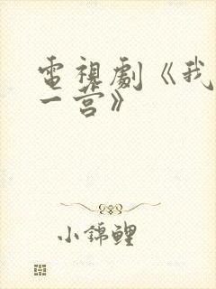 电视剧《我的特一营》