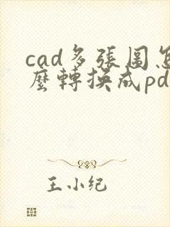 cad多张图怎么转换成pdf格式