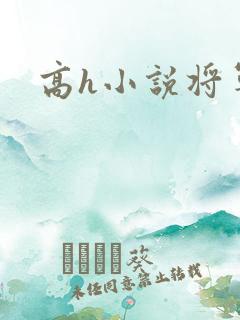 高h小说将军
