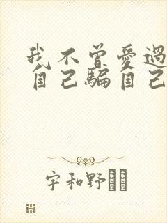 我不曾爱过你我自己骗自己