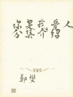 你是我爱人剧情分集介绍