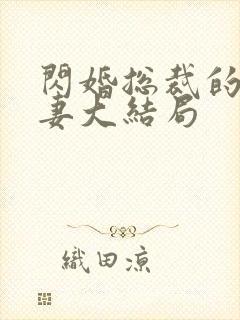 闪婚总裁的契约妻大结局