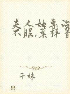 夫人她专治各种不服,叶梓菁