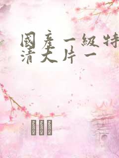 国产一级特黄高清大片一