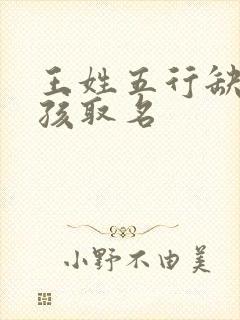 王姓五行缺火男孩取名