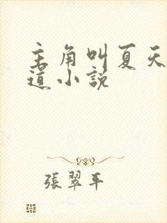 主角叫夏天的黑道小说