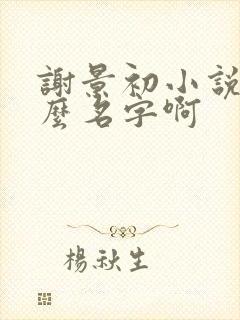 谢景初小说叫什么名字啊