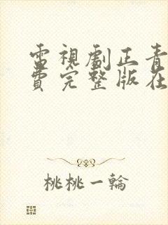 电视剧正青春免费完整版在线观看